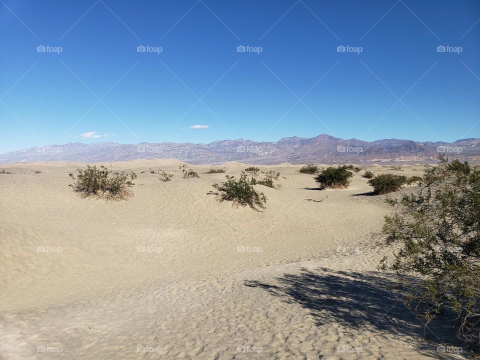 Mesquite Dunes, Death Valley