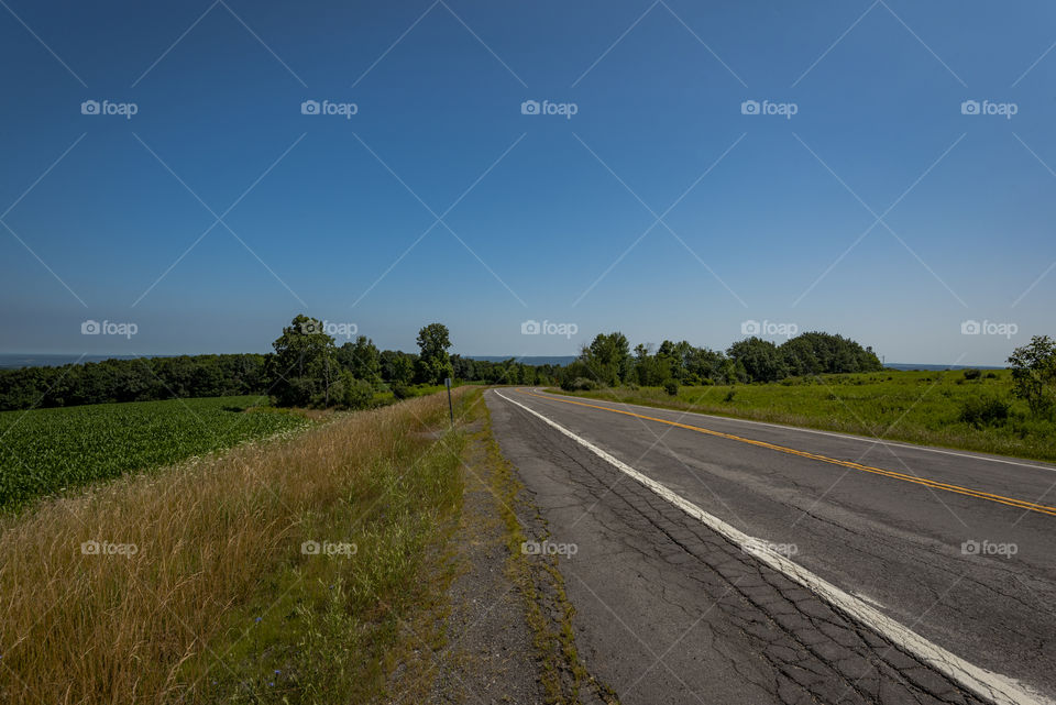 Country road going through the corn fields