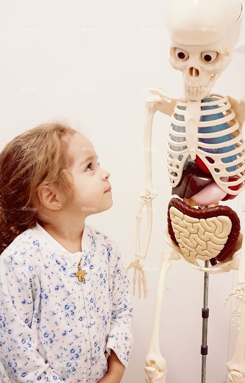 girl and anatomy