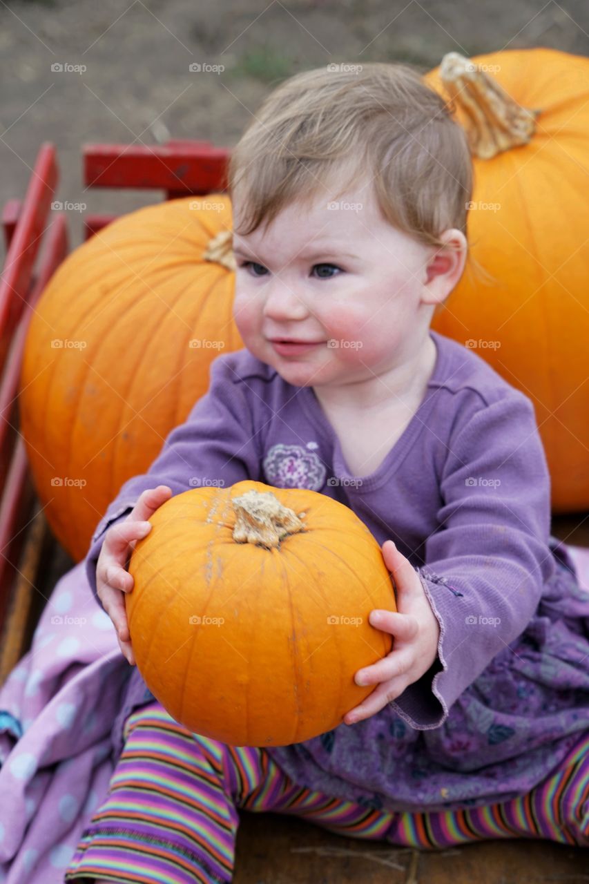 Toddler Girl In Pumpkin Patch