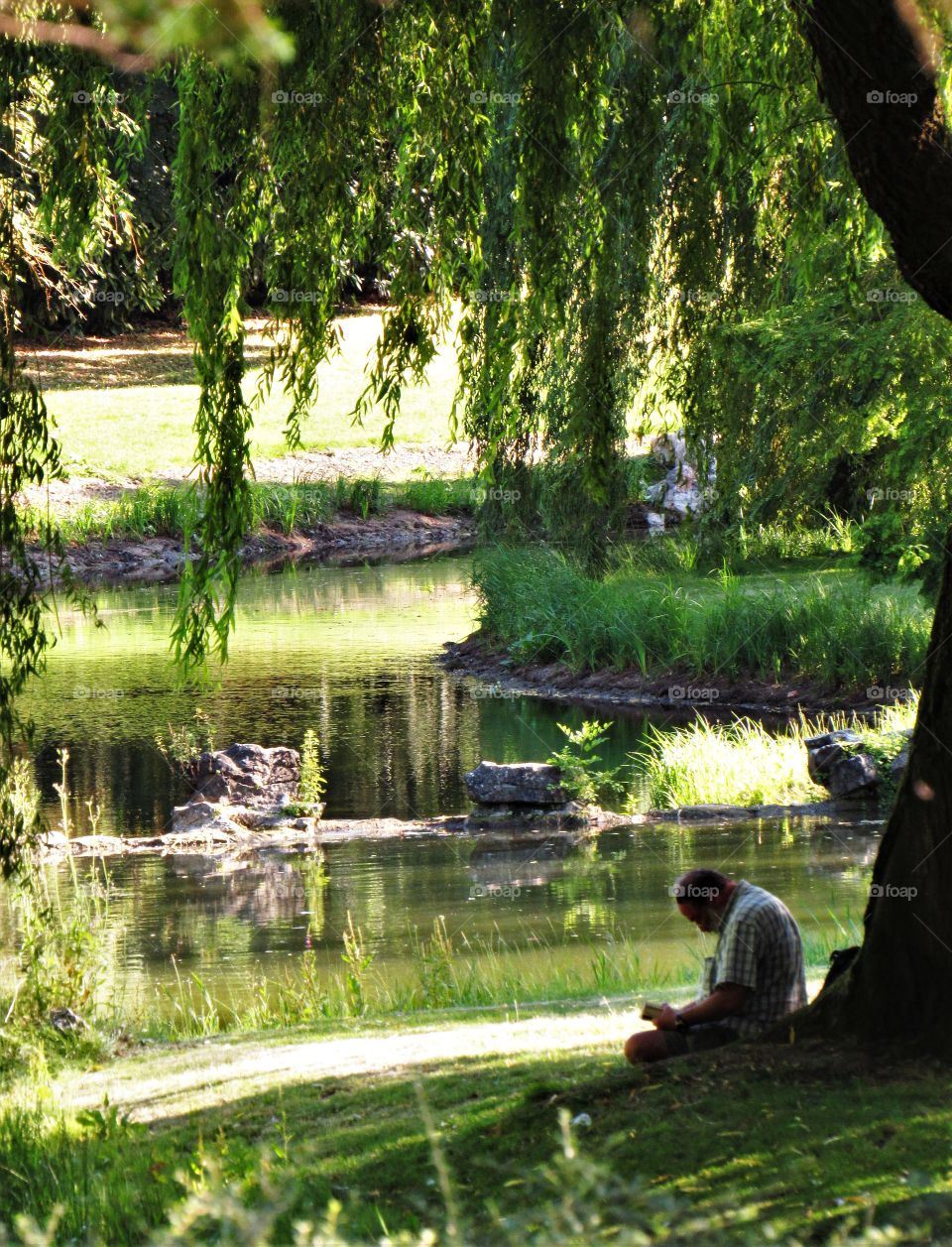 In the park