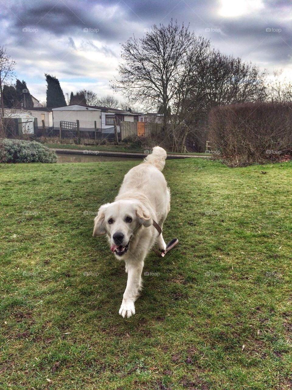 Zoe having fun at the canal 