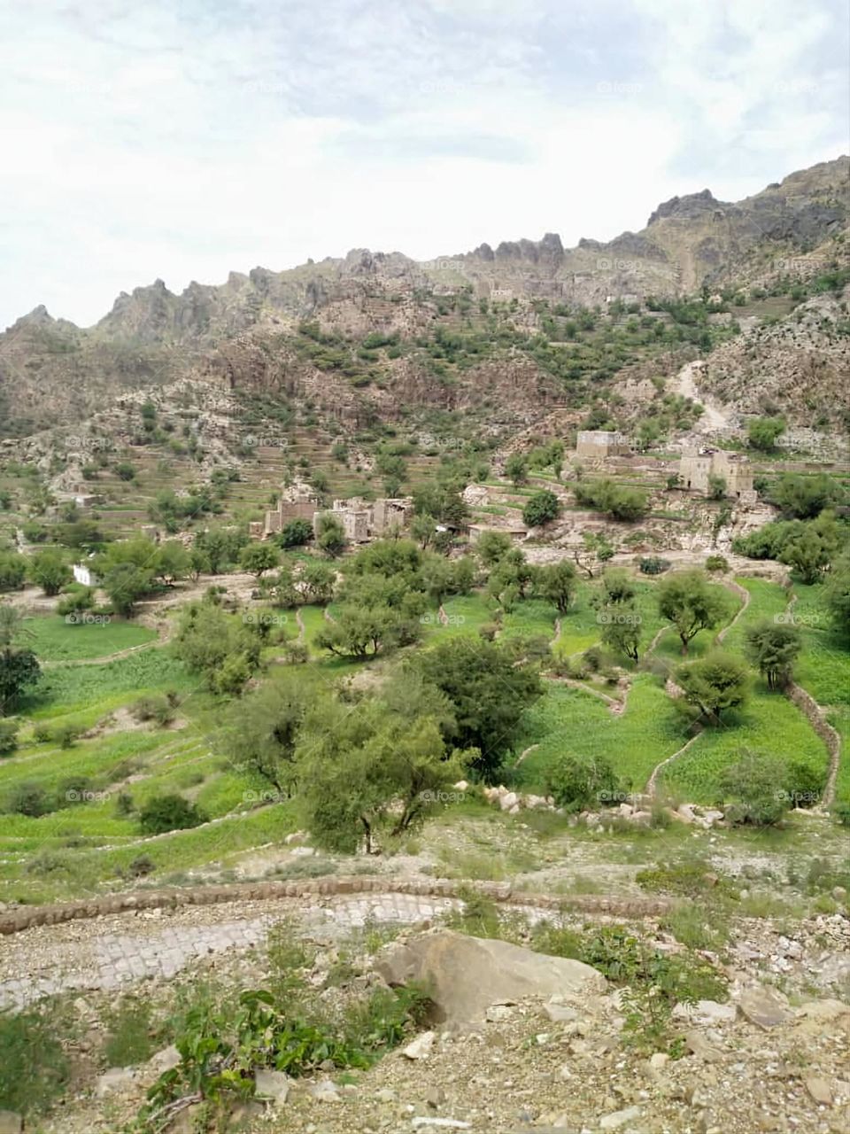 Glory be to God, the magnificent and picturesque view and the natural green trees are a view that is nothing more wonderful than it