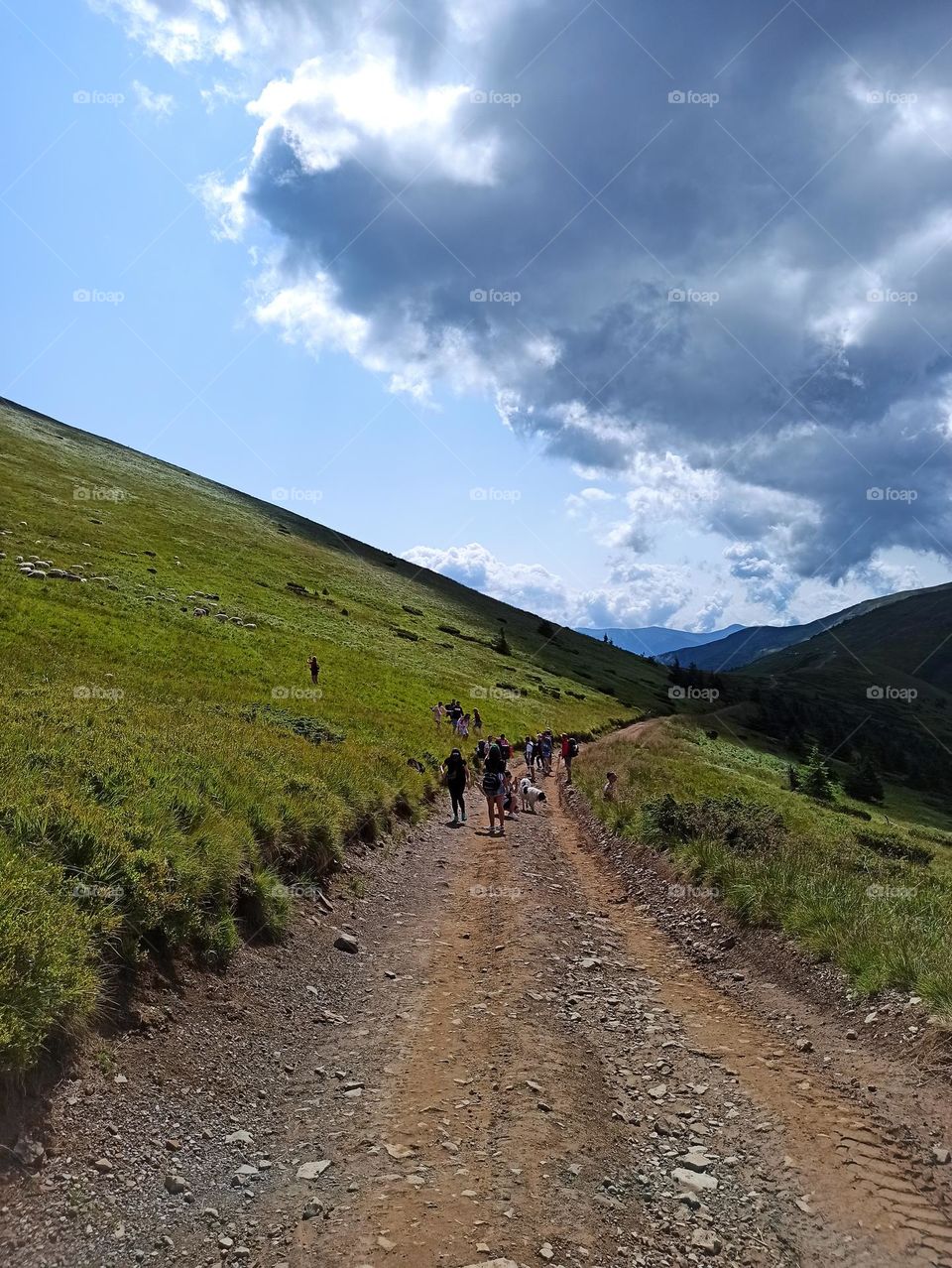 Your favourite travel destination
My beloved Carpathians. Green flower meadows. Cows with bells around their necks. Unforgettable trip across Ukraine. Mountains Dragobrat. Magnificent nature.