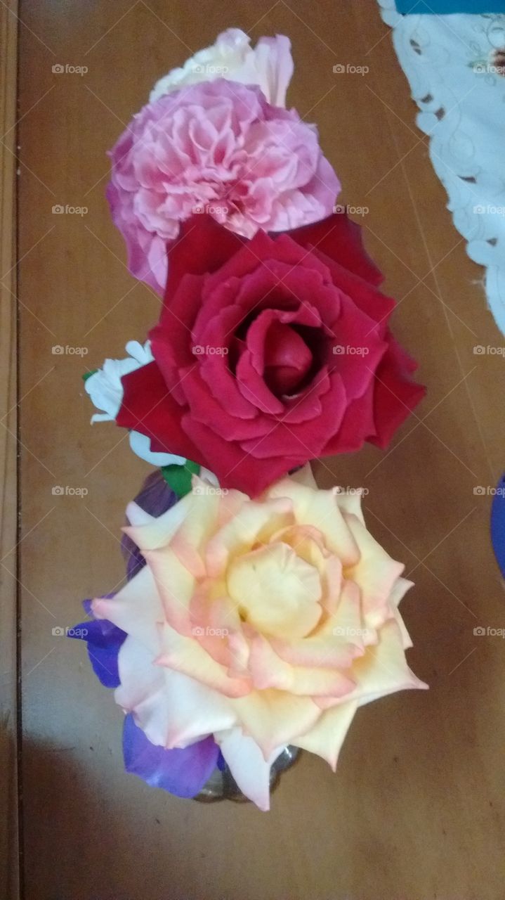 cores diversas das rosas colhidas aqui em casa!