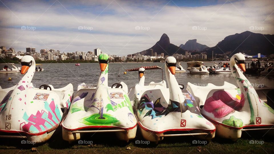 Paddleboats in Lagoa Rodrigo de Freitas in Rio de Janeiro, Brazil