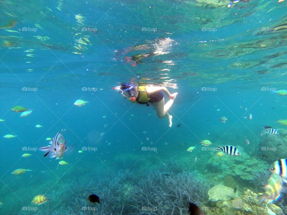 Girl swimming, snorkeling underwater, with lots of different kind of fish