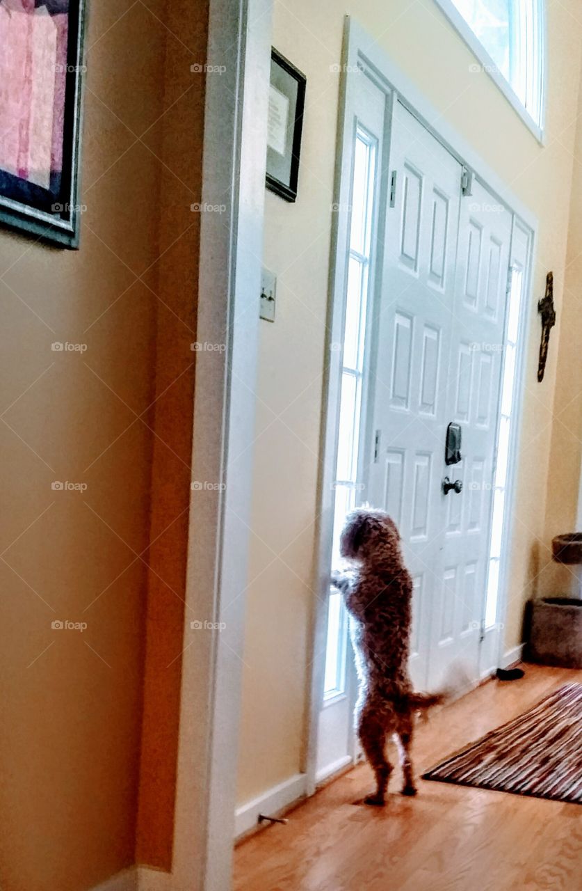 let's get ready to party!