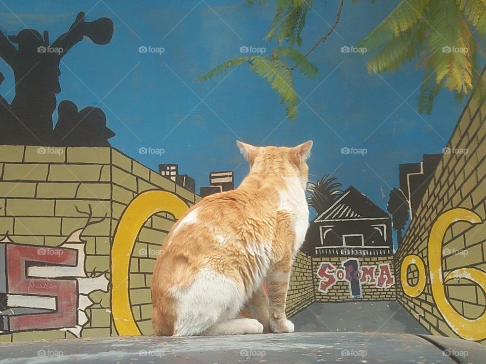 Beautiful cat on car looking at painting wall.