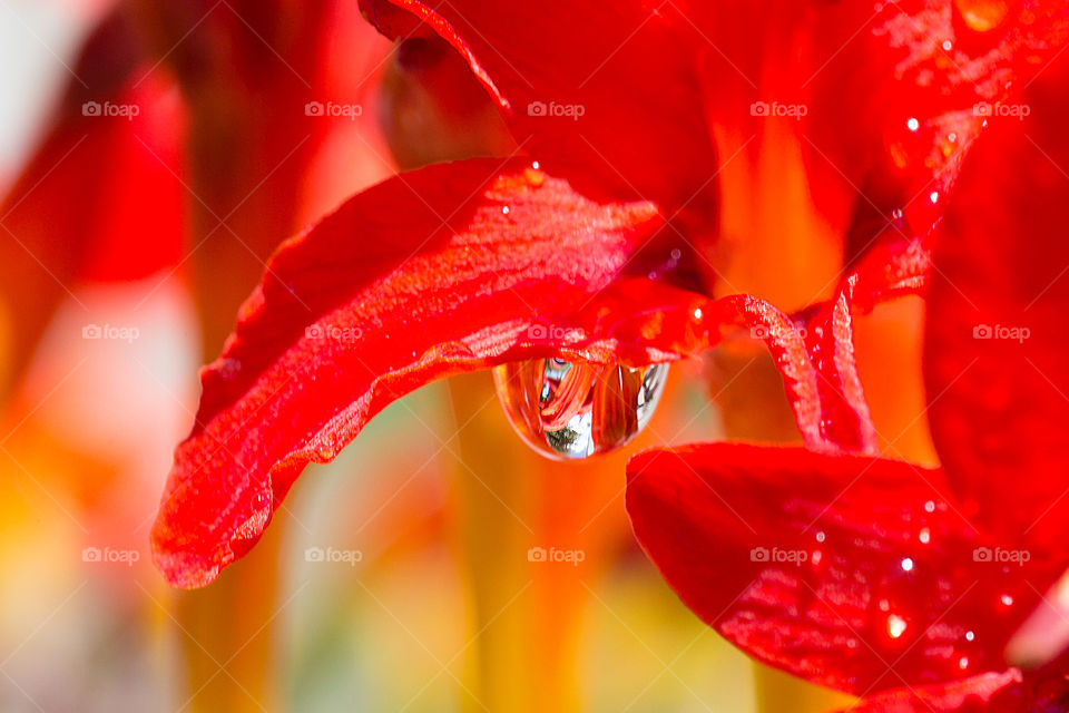 Water droplet 