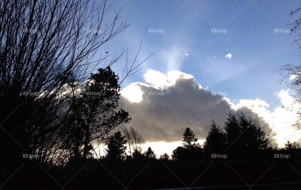 Sun, clouds, tree,
