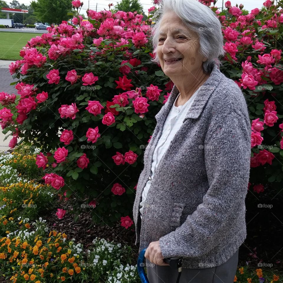 Grandma Enjoying the Roses. My grandmother enjoying the rosebushes outside her doctors office