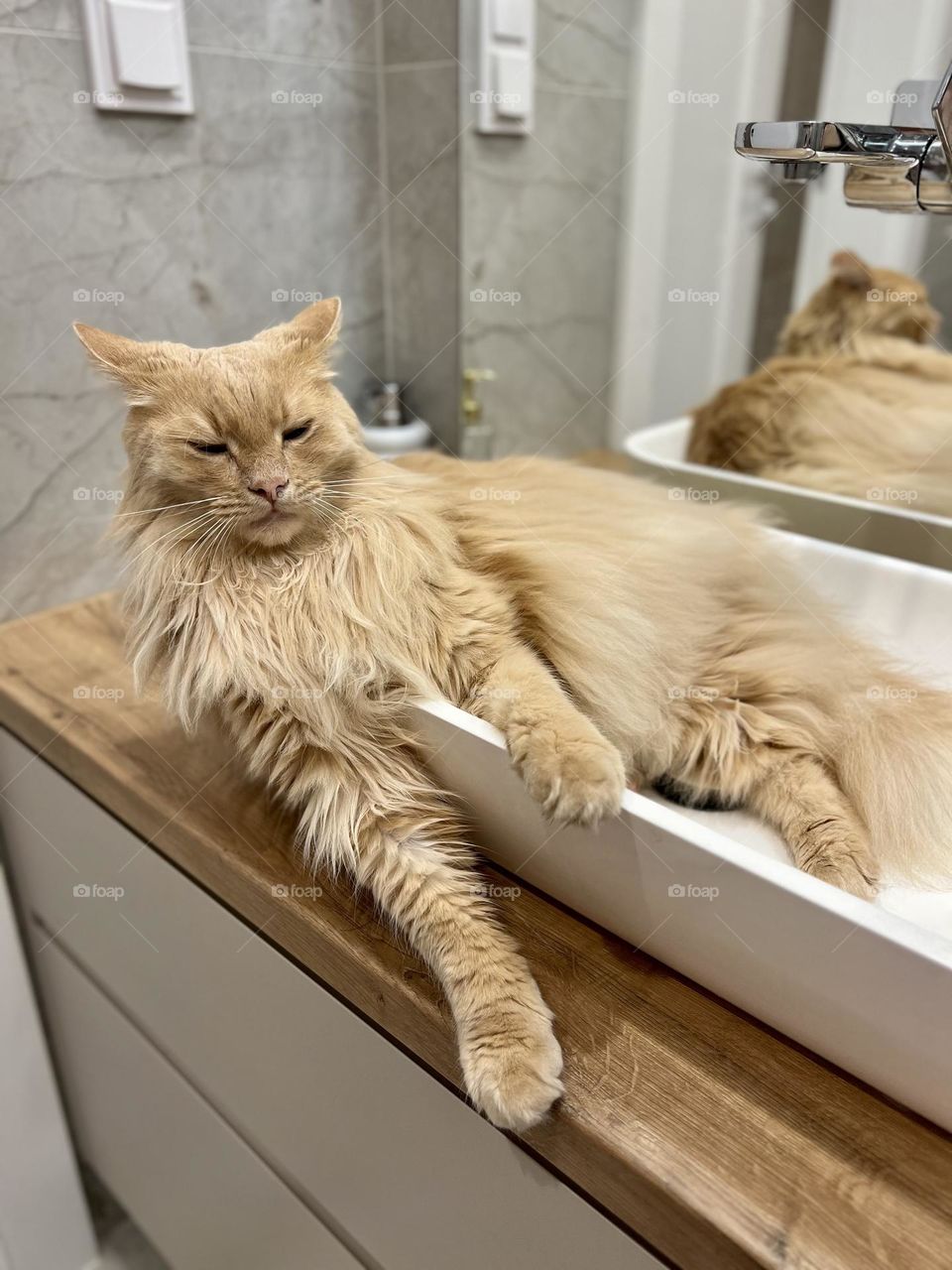 Yes I’m going to sleep here