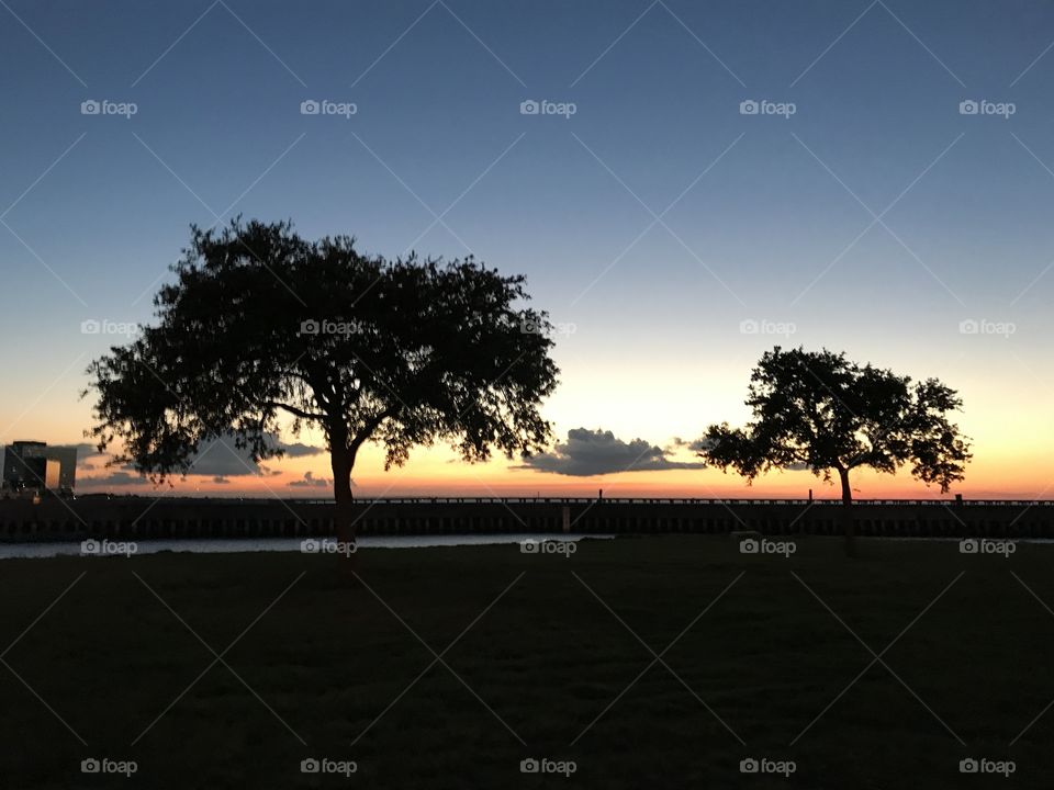 Tree, Dawn, Landscape, No Person, Silhouette