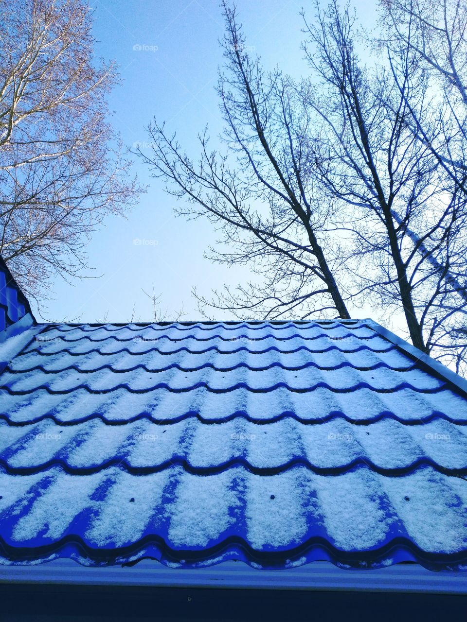 blue roof. sky. up. start. the beginning of spring.