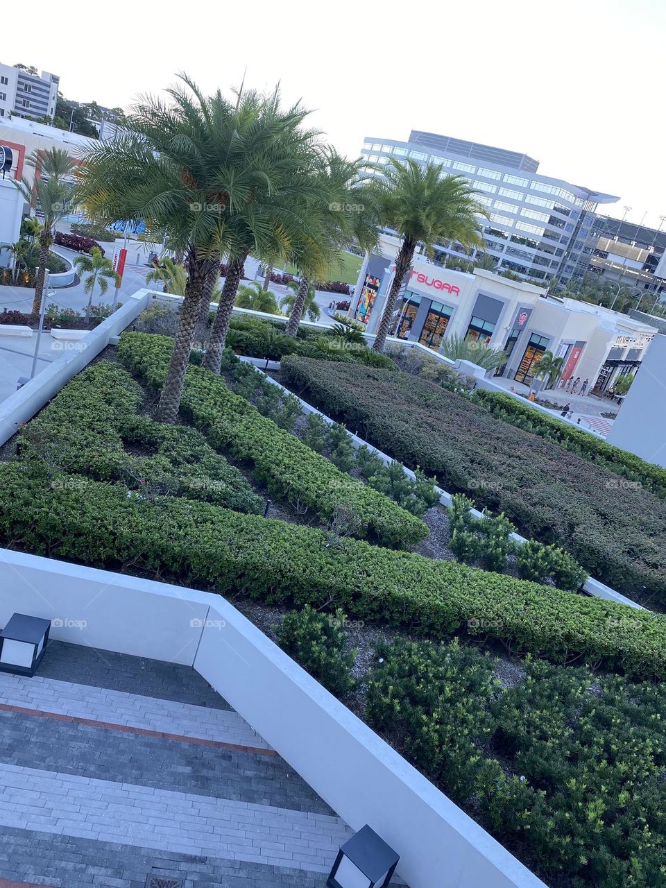 Rooftop Gardens that overlook Its Sugar