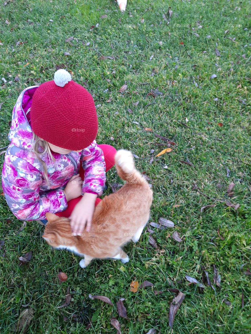 playing with a cat outdoors