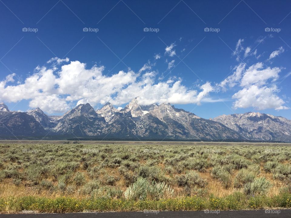 Grand Teton landscape 