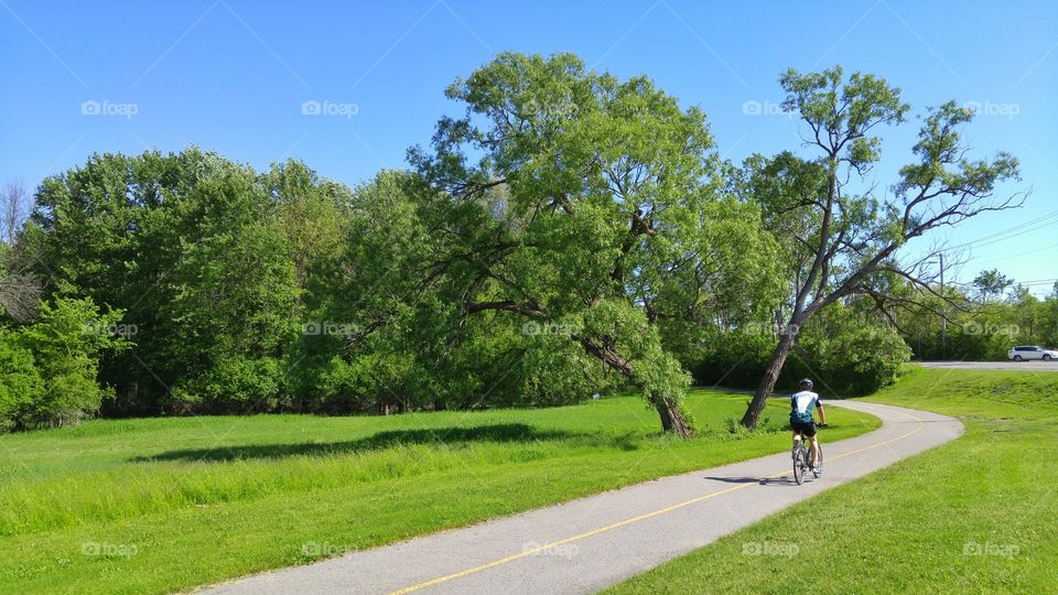 Bicycle path  in summer