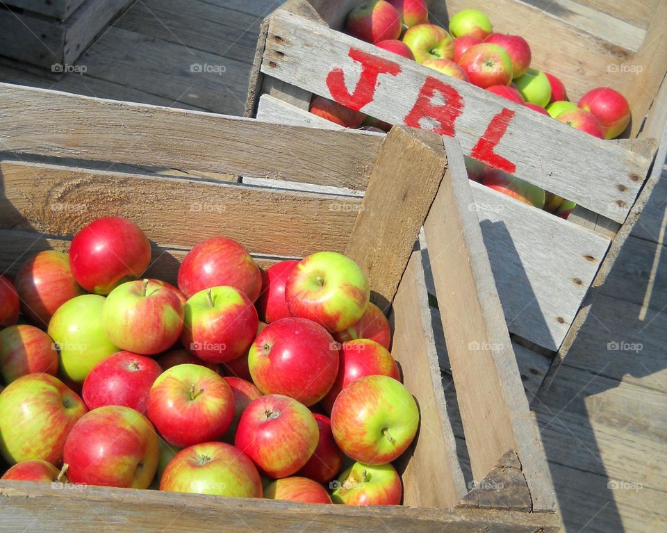 Crates of Apples