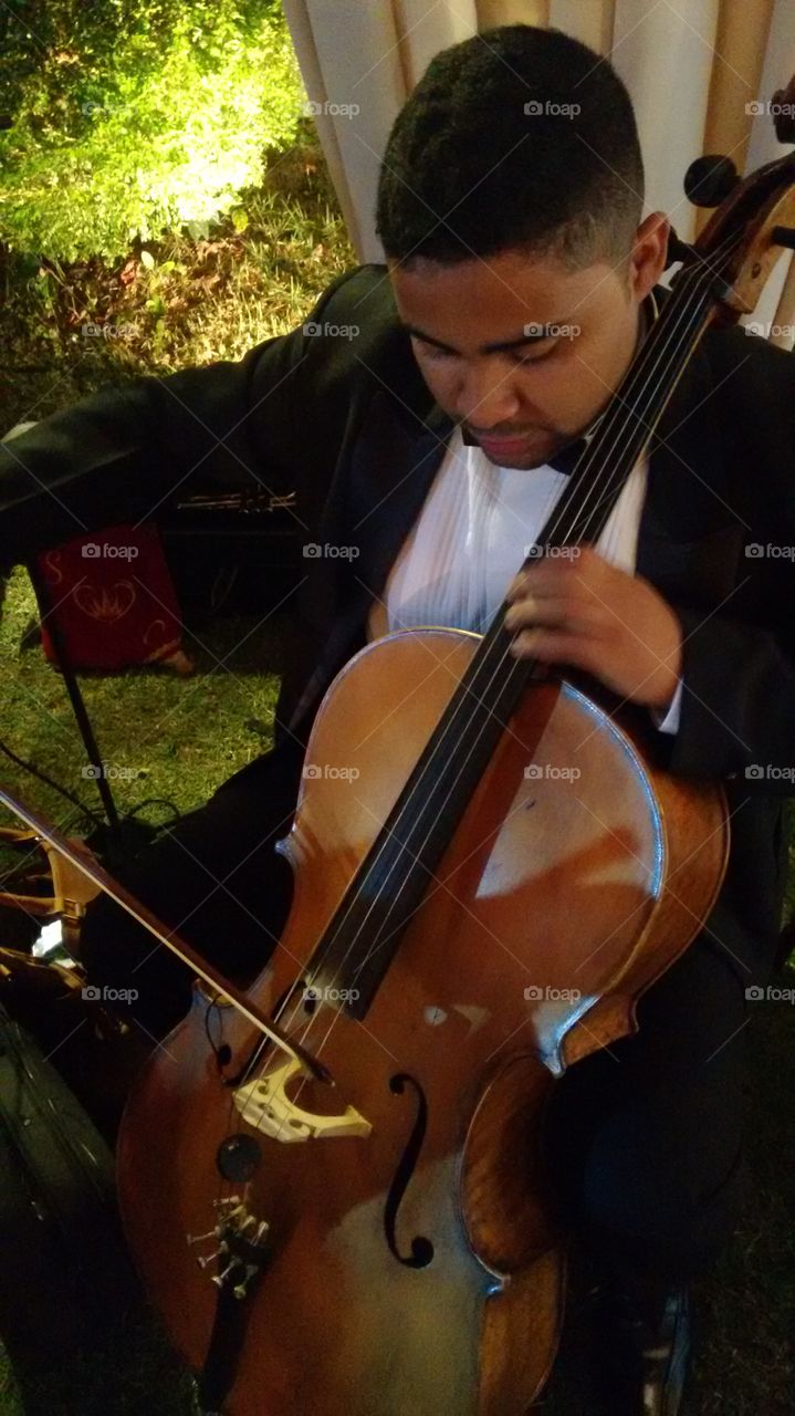 Violin, Music, Musician, Instrument, Violinist