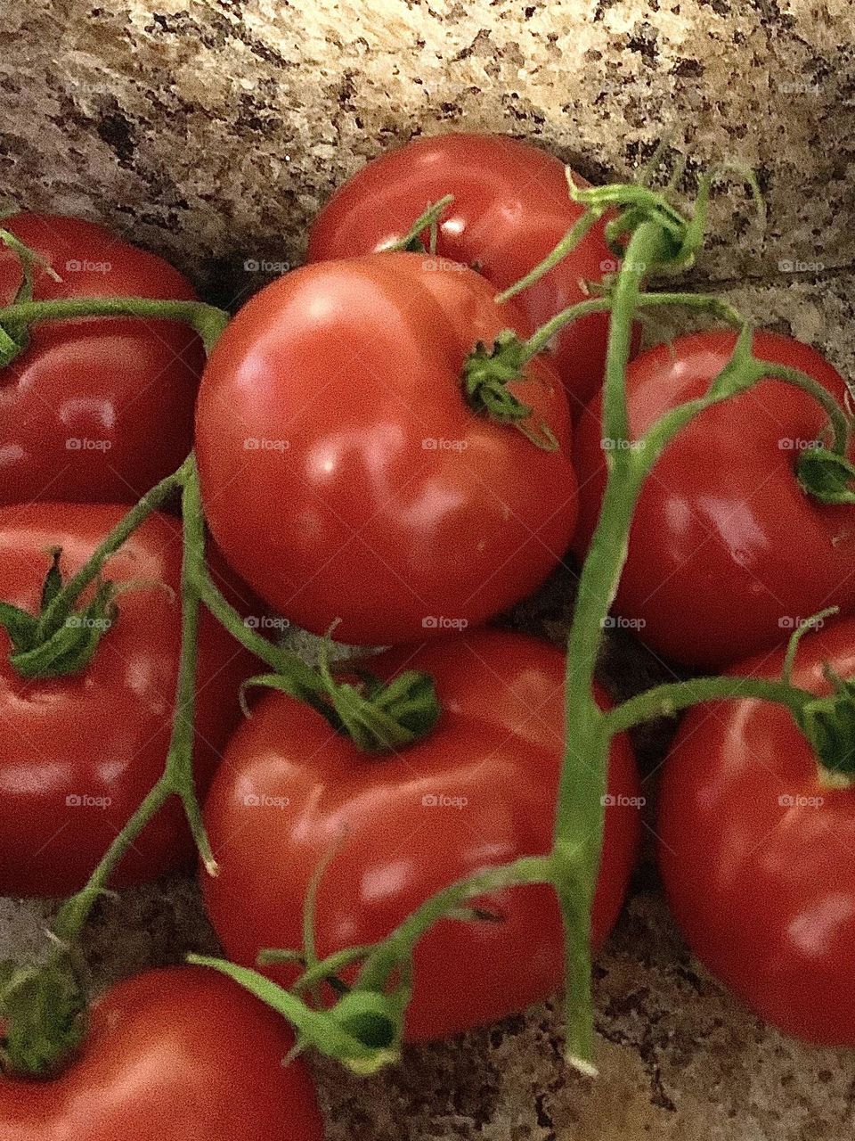 Vine tomatoes 