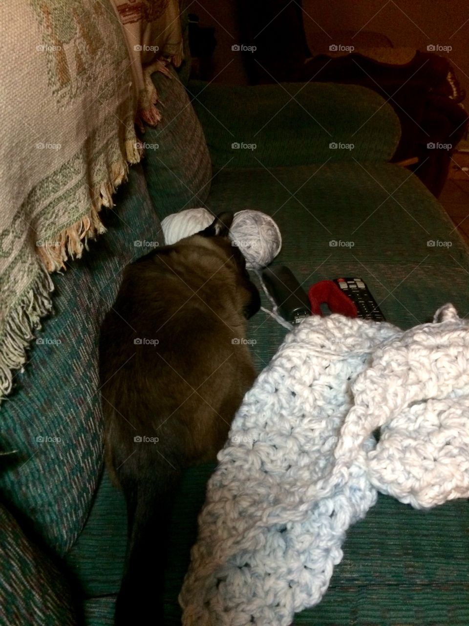 I'm getting no corporation here....