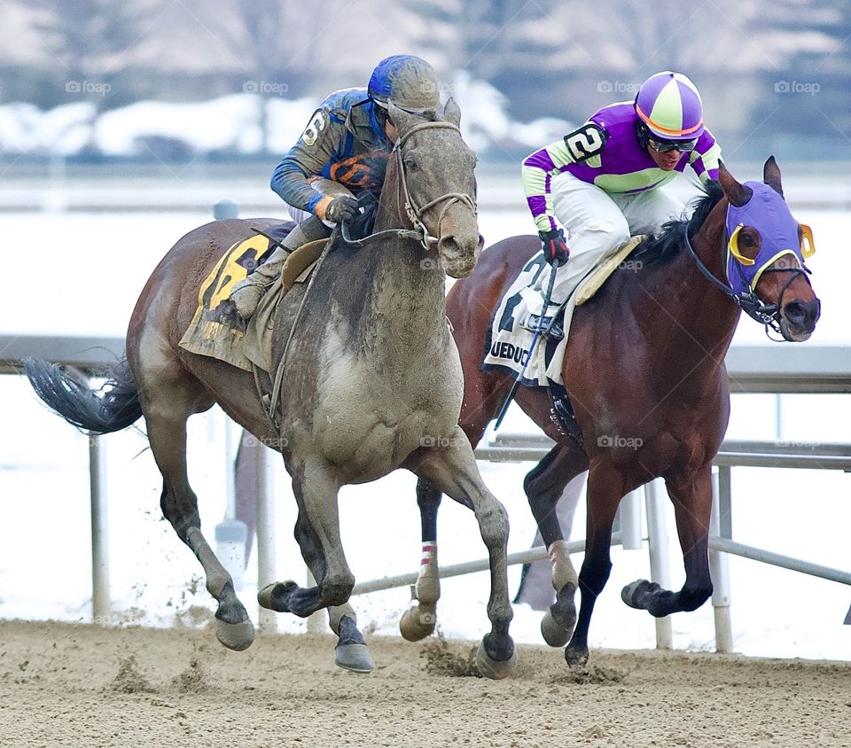 Royal Albert Hall by Fleetphoto
