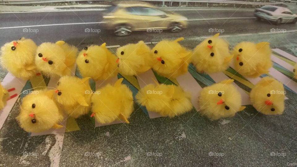 easter chicks crossing