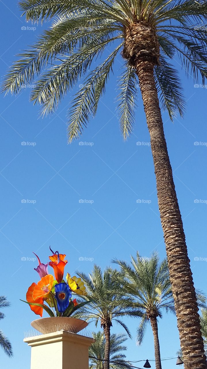 Desert Beauty. Glass flowers under palm tree
