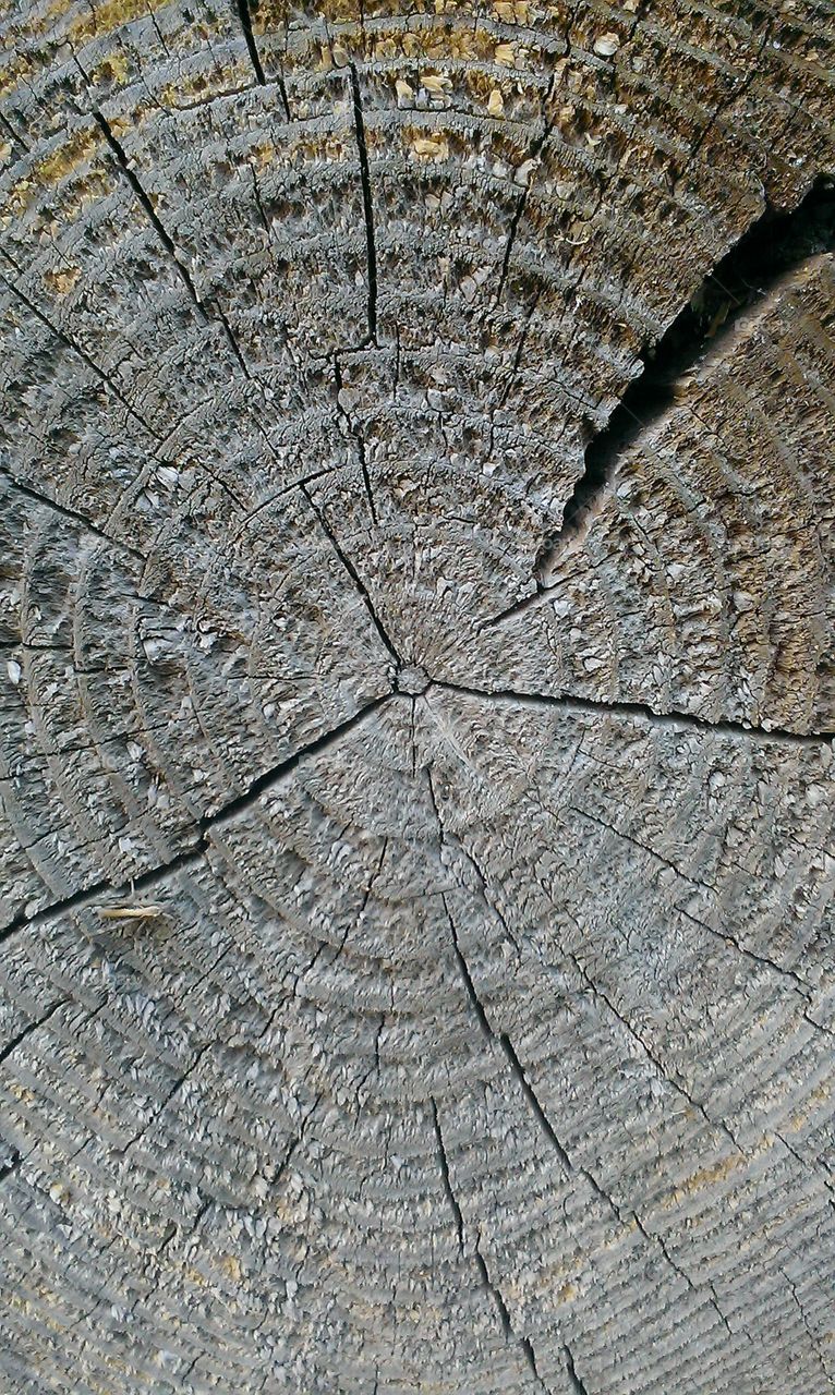 wood texture