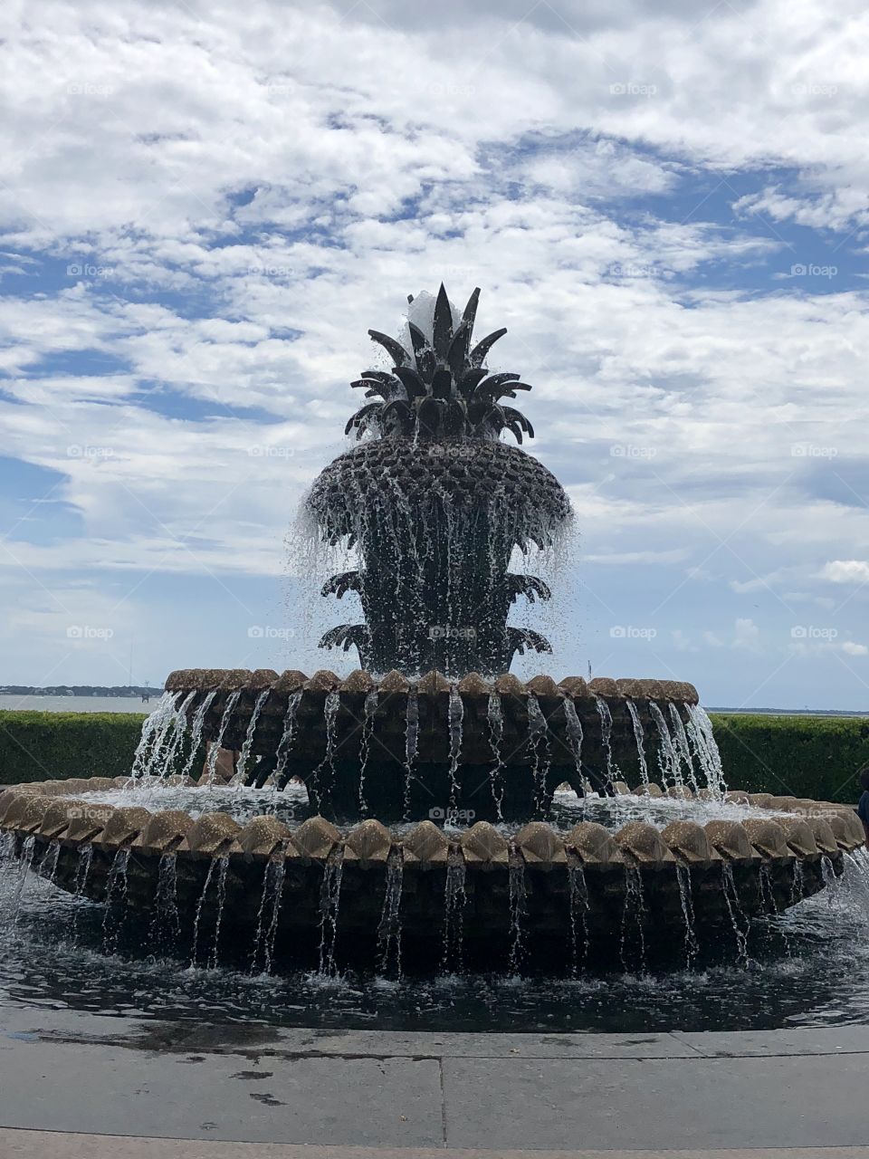 Pinapple Fountain 