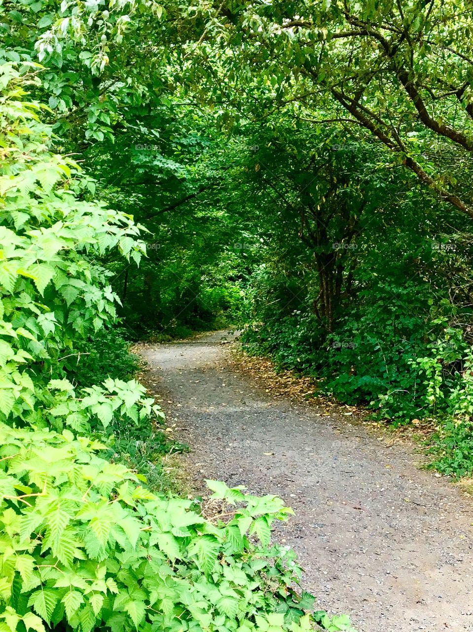 Light at the End of the Tunnel