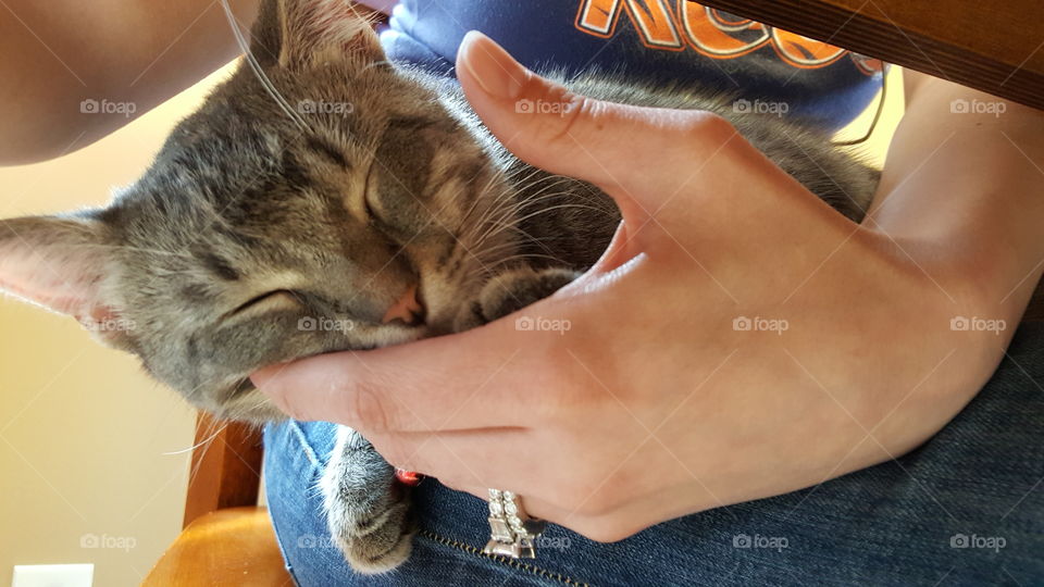 sleepy. I was trying to work from home. Max decided to use my hand as a pillow. 