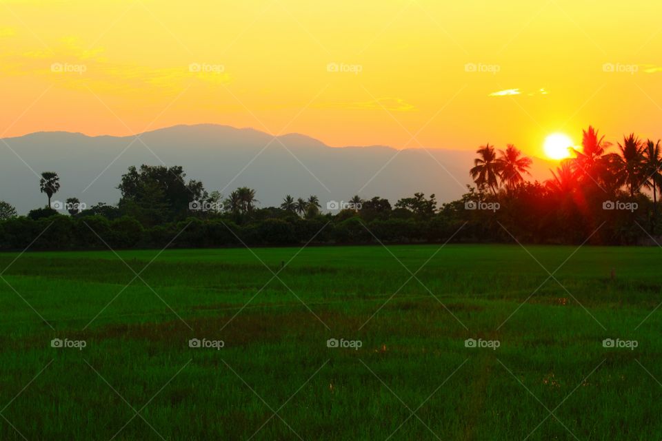 Sunset in nature.. Sunset on the field in evening.