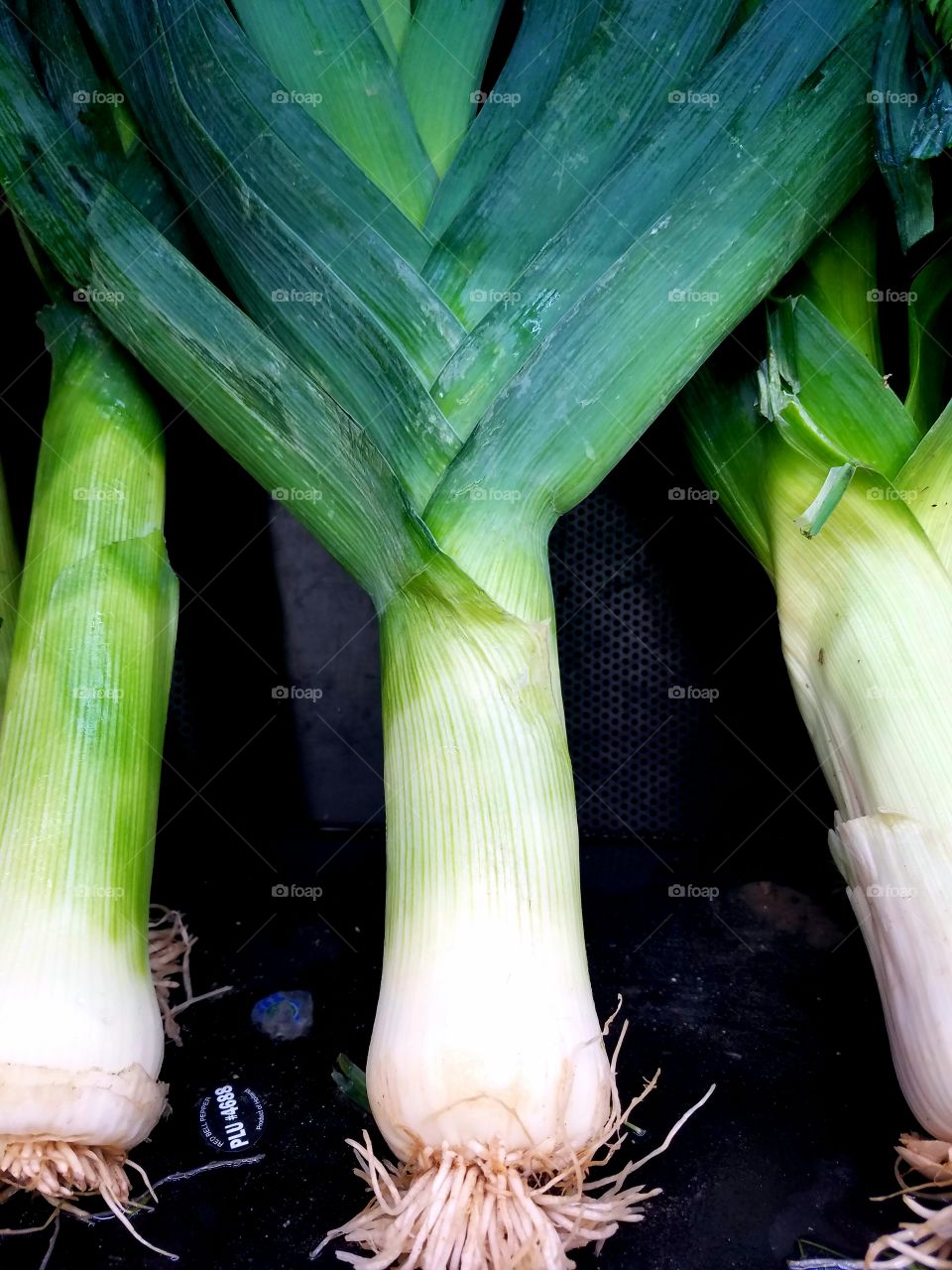 organic leeks