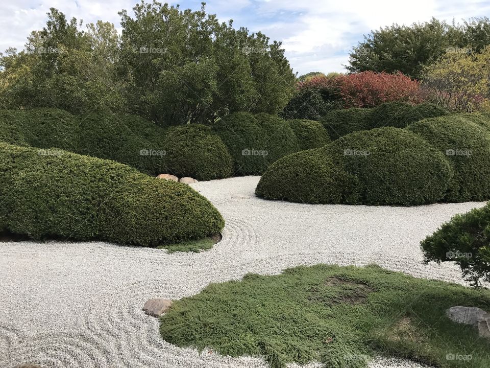 Japanese zen dry garden