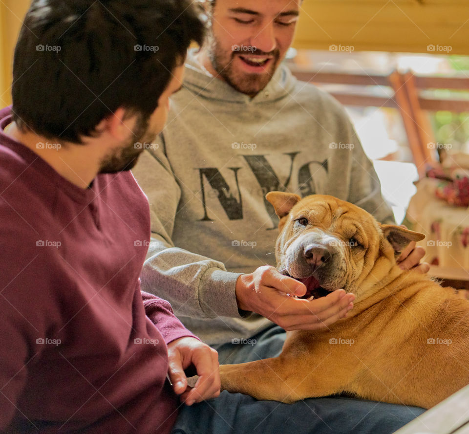 Dog sitting with his owner