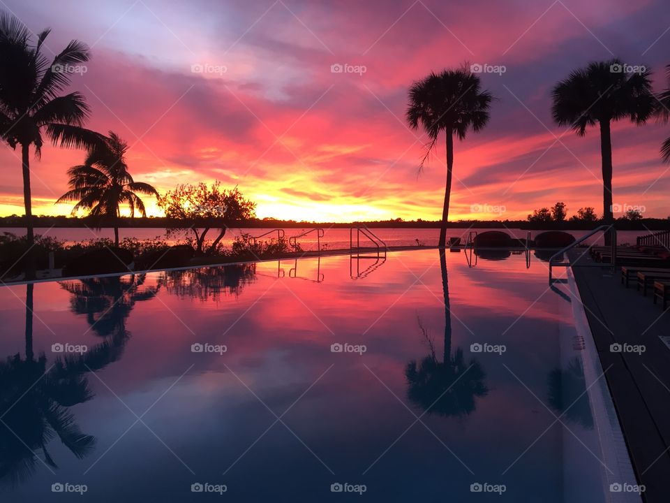 View of reflected palm trees with dramatic sky