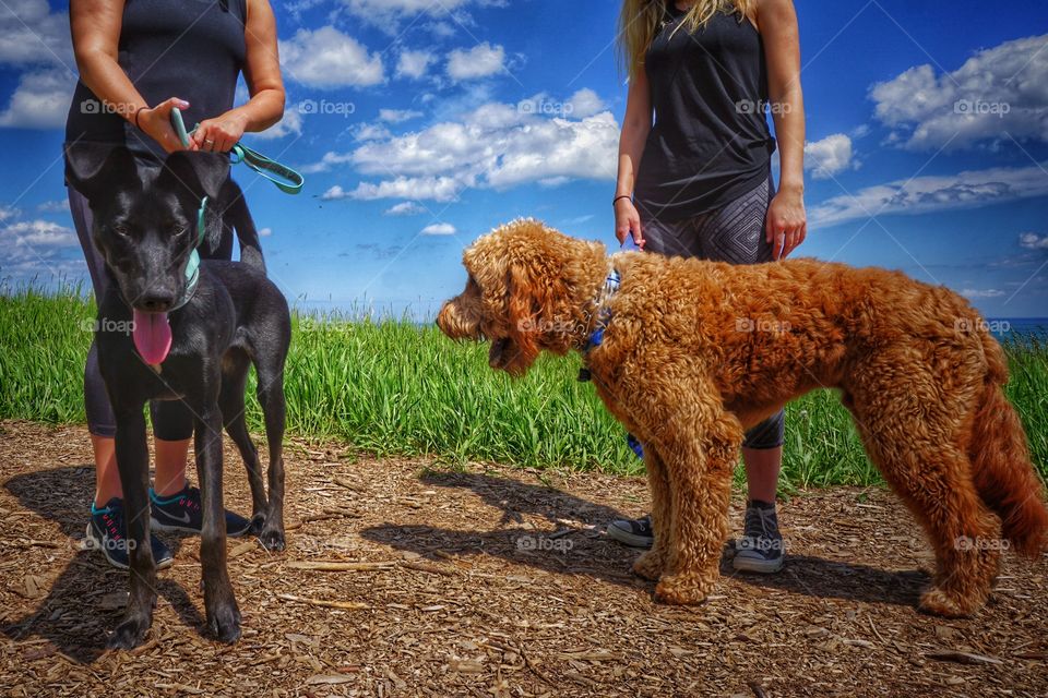 Women holding dog