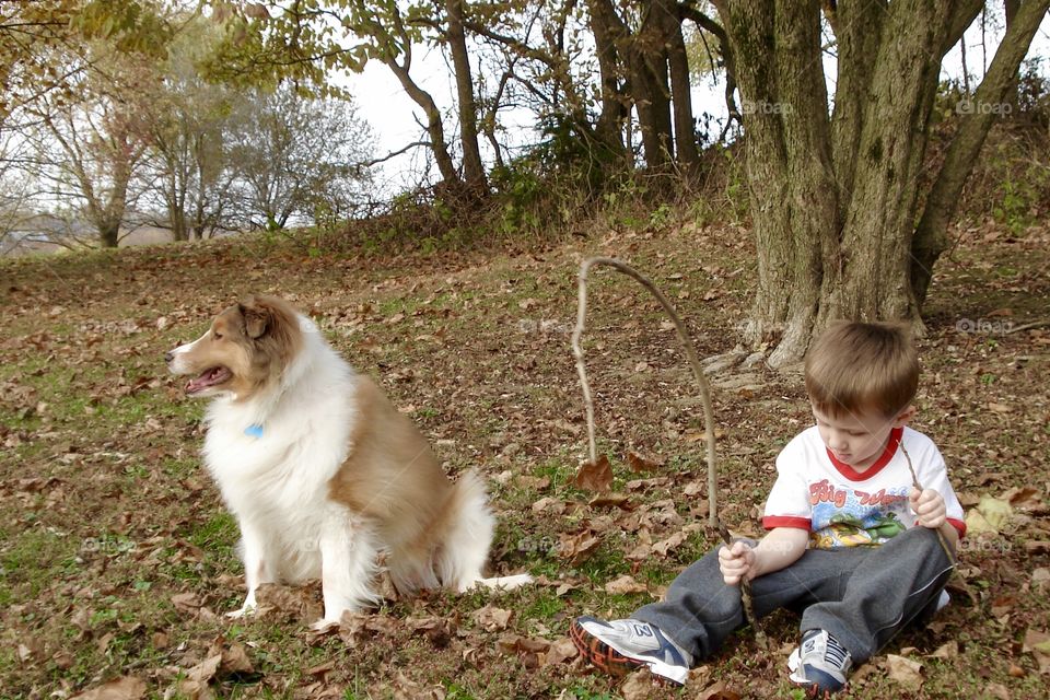 A little boys sitting under a tree with his sheltie 