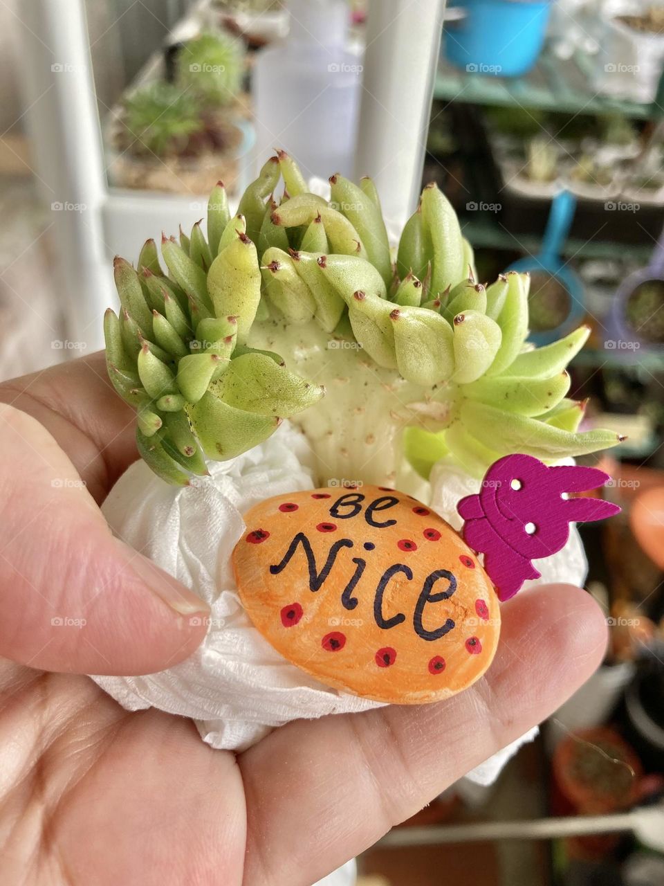 DIY and Crafts; decorative stones with motivational words