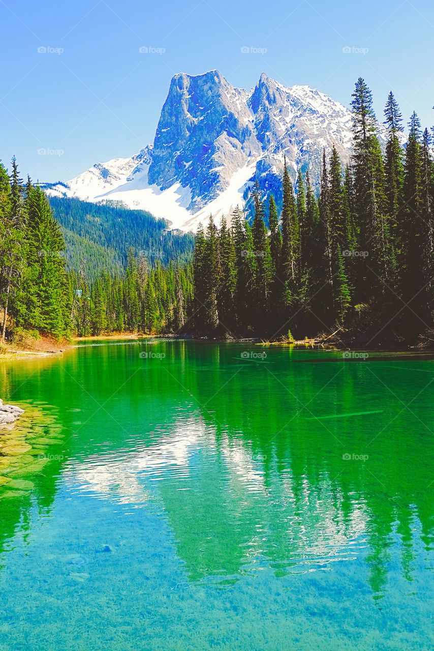 Yoho National Park in BC, Canada