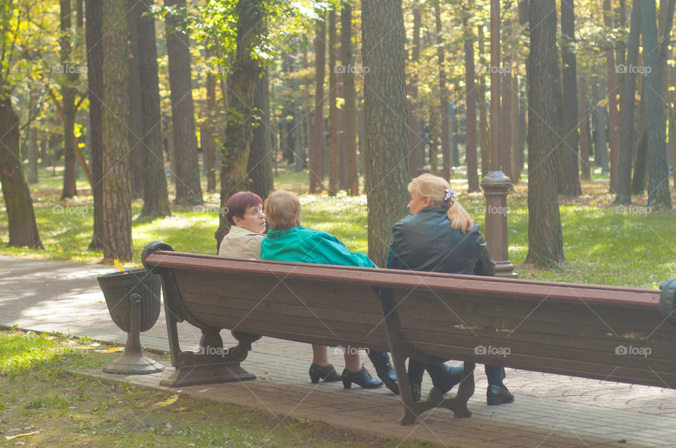 Three women seating on the bench in the park and talking  