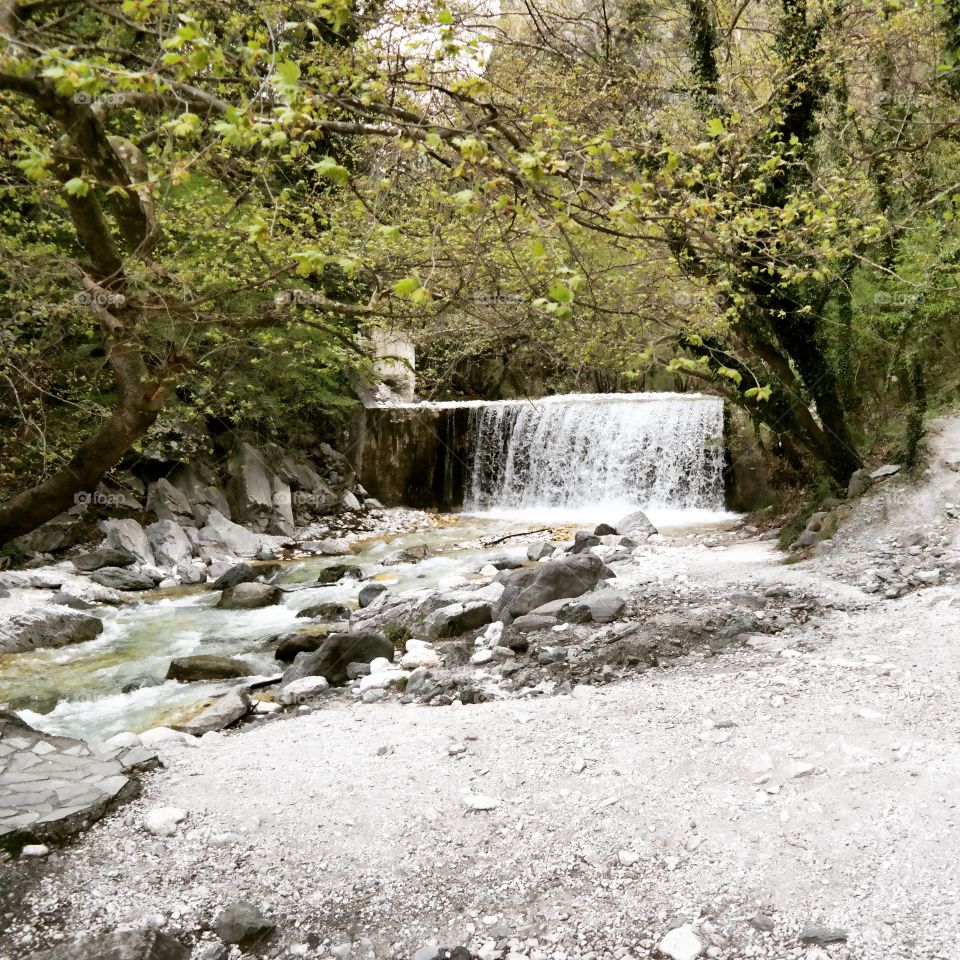 Scenic view of waterfall in forest