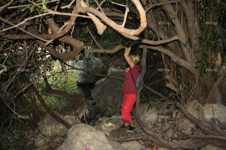 It is a tree. The branches of this tree are very curious. They are many and very convoluted. I have taken in the photo only the branches that looked best.