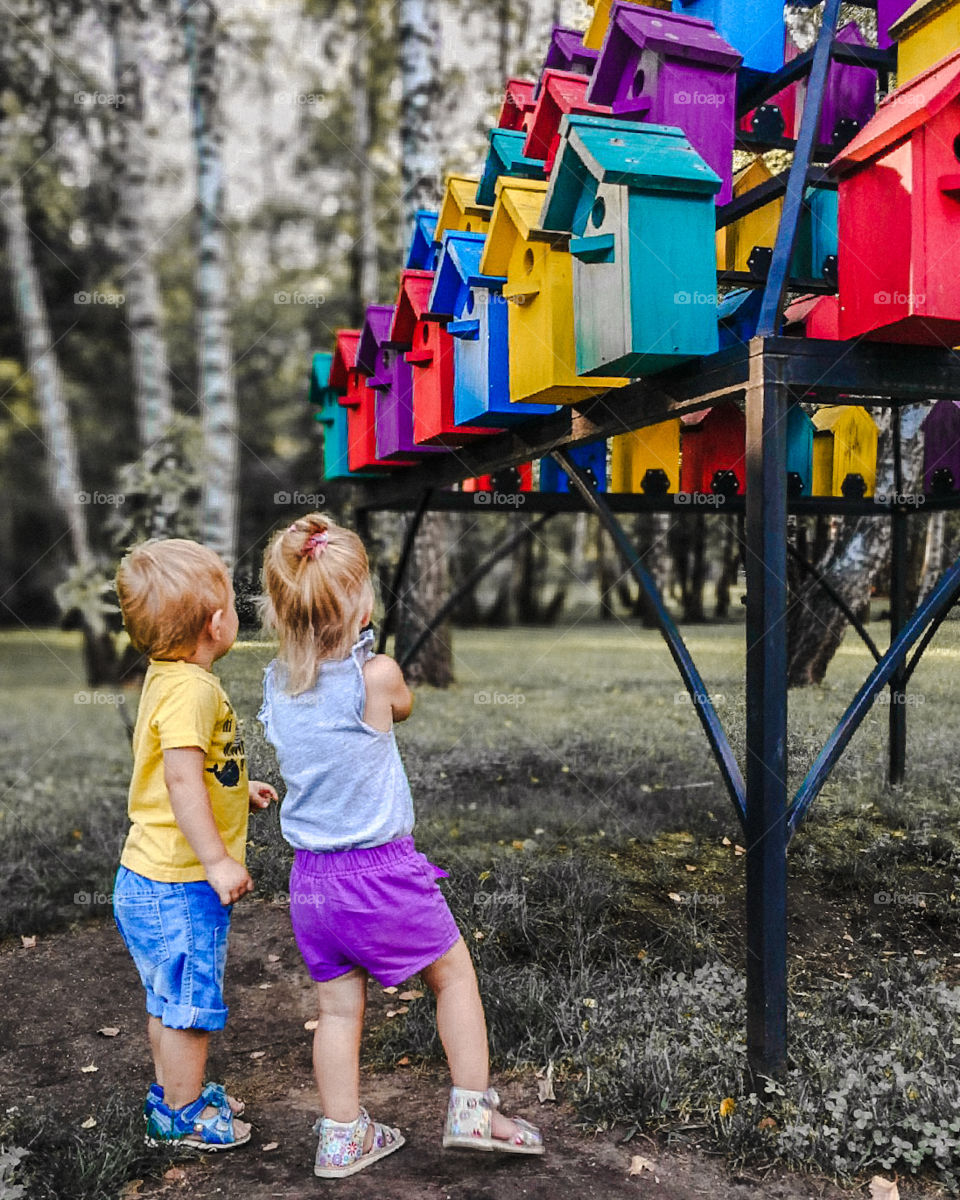 Children's near colored birdhouses