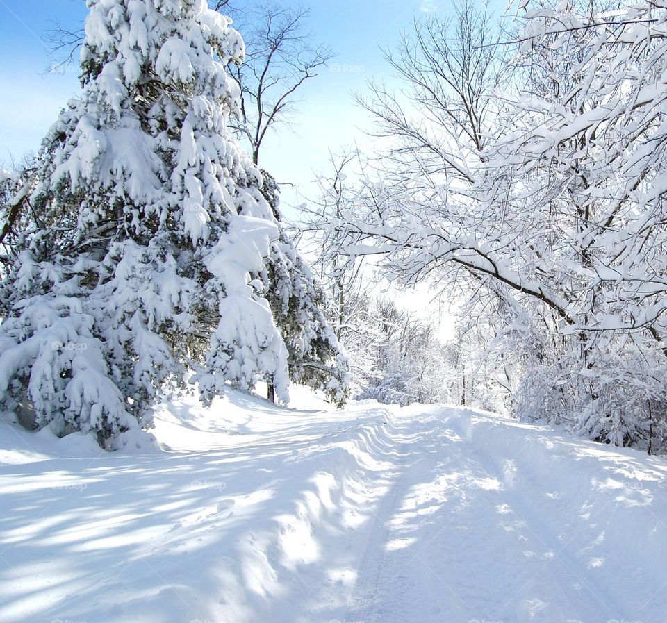 Winter wonderland after a fresh fallen snow