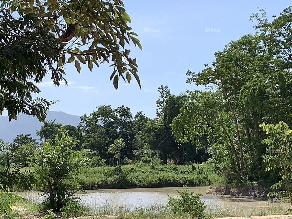 Good things come in my family, Countryside (Thailand)