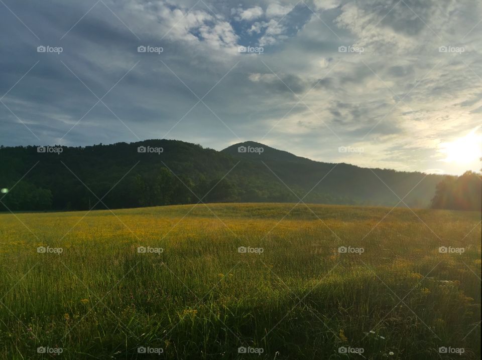 Cade's Cove